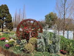 -苏州上方山国家森林公园