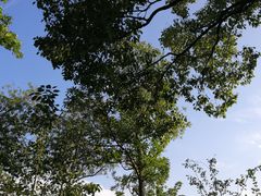 -新江湾城公园