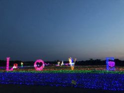 -水八仙生态园