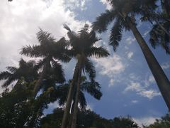 -烈士陵园(地铁站)