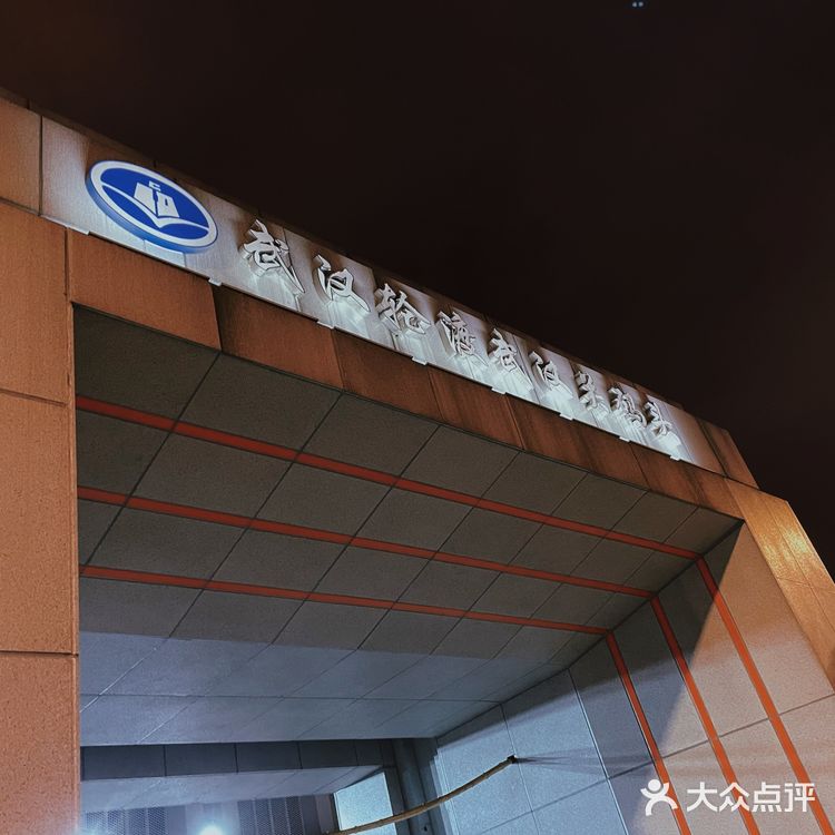 十元夜景轮渡（武汉江景夜景） 