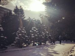 -北海道厅旧本厅舍(旧本庁舎)