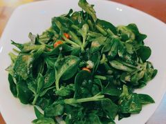 -赵记煎饼卷大葱(东岳店)