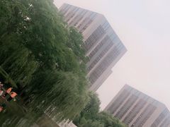 -南翔镇银翔湖公园