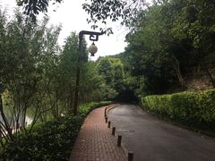 -重庆彩云湖湿地公园