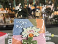 -O'eat Blossom&Pelican(深圳首店)