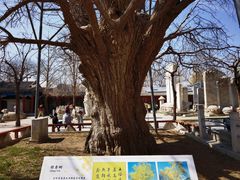 -北京石刻艺术博物馆(五塔寺)