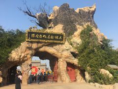 -大槐树寻根祭祖园