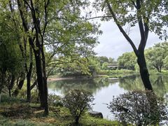 -西溪国家湿地公园