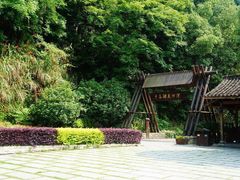 -千岛湖龙川湾