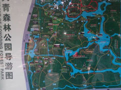 android_upload_pic-上海共青森林公园