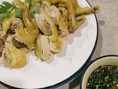 -墨脱石锅椰子鸡•香草鸭•东山羊(大东海店)