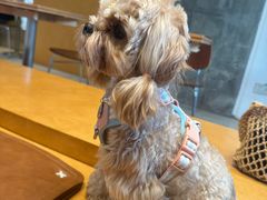 -LANLIZI BAKERY(COSMO店)