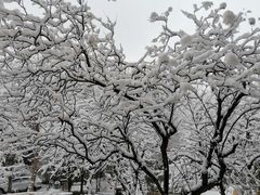 -北京邮电大学