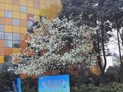 -成都欢乐谷