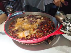 -雲蜀龙阁·金牌水煮鱼(方庄店)