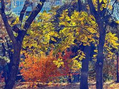 -元大都城垣遗址公园