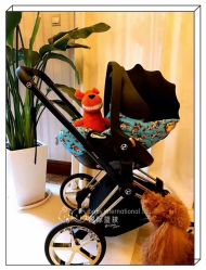 -国际蓝孩(将台路店)