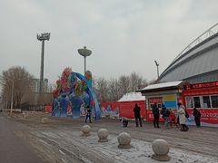 -沈阳奥体冰雪嘉年华