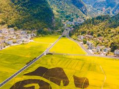 -万峰林风景区