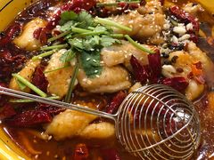 -熊猫川菜馆 panda chine