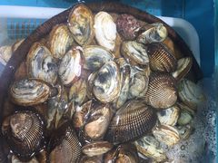-港畔赶海蒸汽海鲜烧烤自助(仙螺岛店)