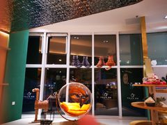 -飞行喵MR PILOT|猫舍·猫咖(静安大融城店)