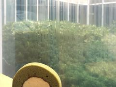 -雪绿茶博物馆