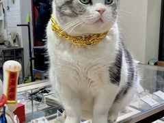 -百金通黄金回收首饰定制维修(珠江路总部)