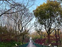 -上海吴淞炮台湾国家湿地公园