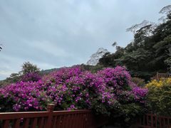 -广州市石门国家森林公园