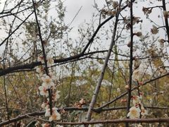 -中国移动南方基地