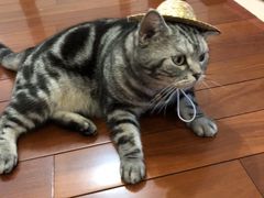 -星巴克(新都会店)