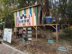 -金鸡湖桃花岛
