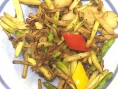 -常州环球恐龙城维景国际大酒店
