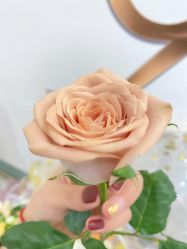 -染指坊日式美甲美睫设计中心