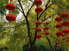 -丰台花园