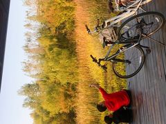 -昆山城市生态森林公园