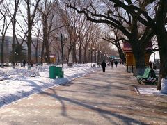 android_upload_pic-斯大林公园