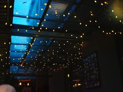 -小主人西餐厅 master table(青年中路店)