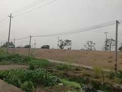 -天然居(伦教店)