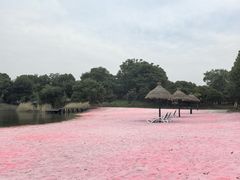 -上海杨姆庄园