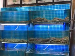 水产区-老东镇啤酒屋海鲜加工·蒸汽海鲜·海鲜烧烤(台东店)