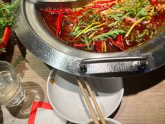 -彤德莱火锅(商圣嘉源店)