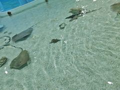 -台州海洋世界