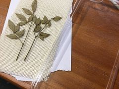 -Summer House夏莫手工坊团建活动(世博源店)