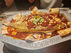 -马有鱼·馕坑烤全鱼(美美2店)