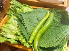 -济州爱肉堂(总店)