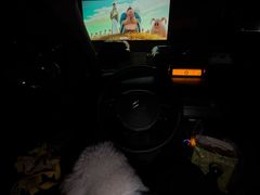 -枫花园汽车电影院(朝阳公园店)