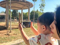 -石家庄市动物园